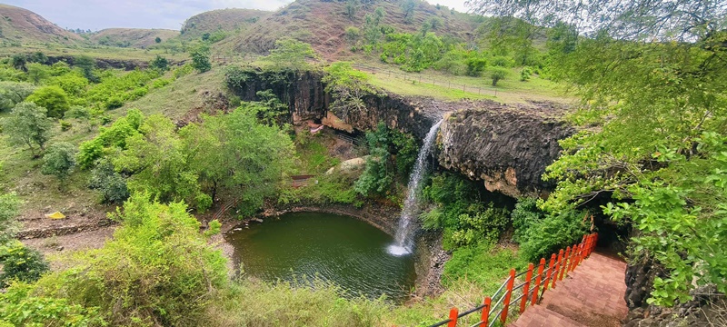 naidunia_image